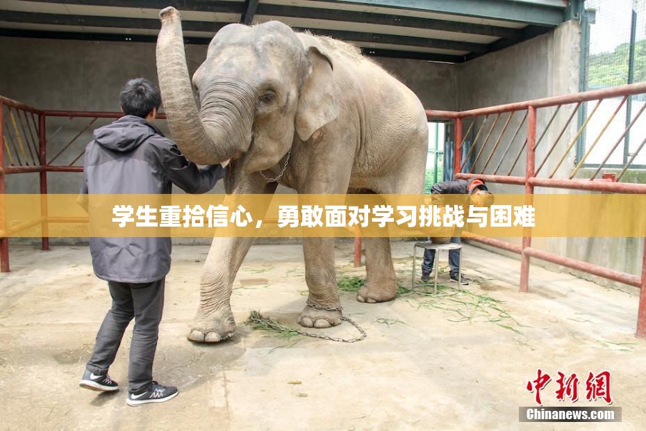 学生重拾信心，勇敢面对学习挑战与困难