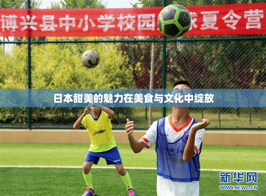 日本甜美的魅力在美食与文化中绽放