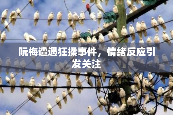 阮梅遭遇狂揉事件，情绪反应引发关注