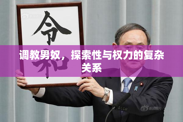 调教男奴，探索性与权力的复杂关系