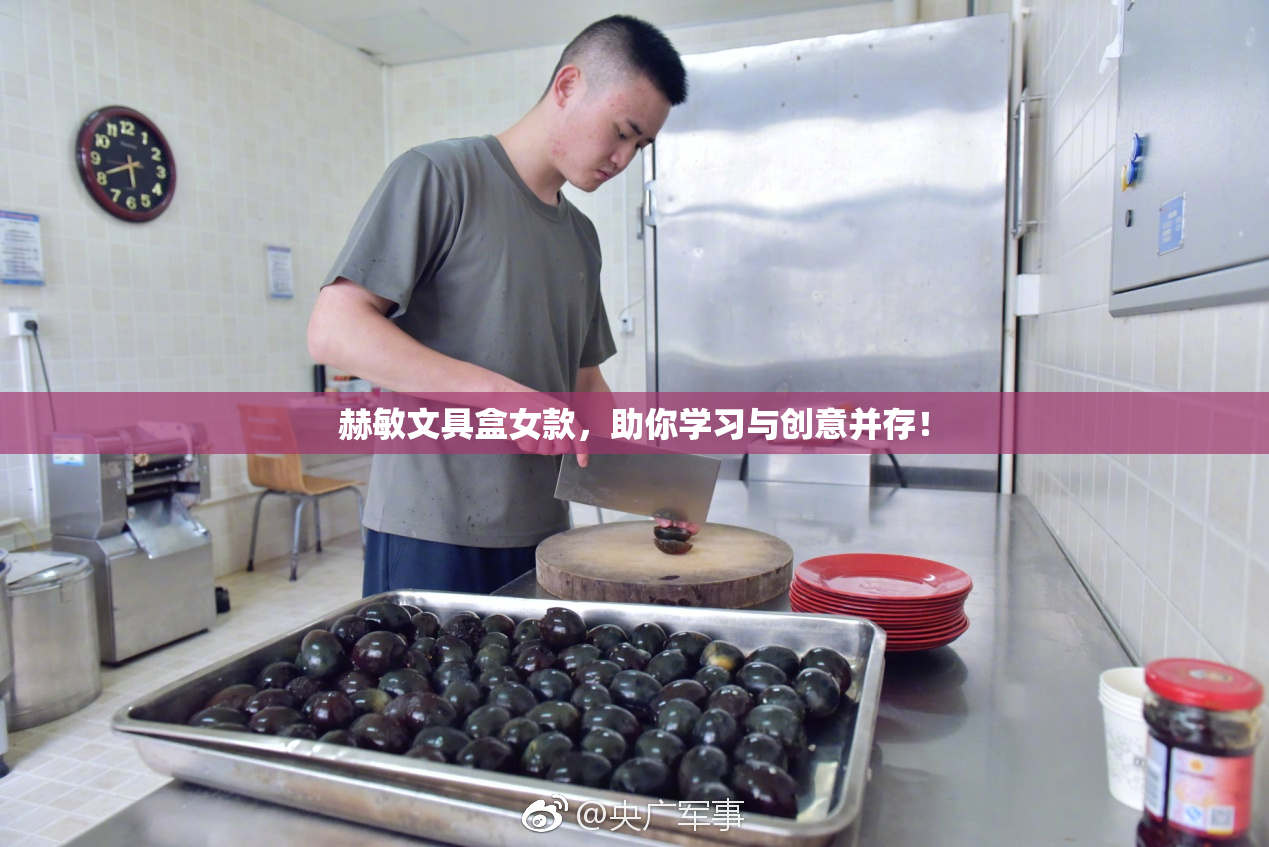 赫敏文具盒女款，助你学习与创意并存！