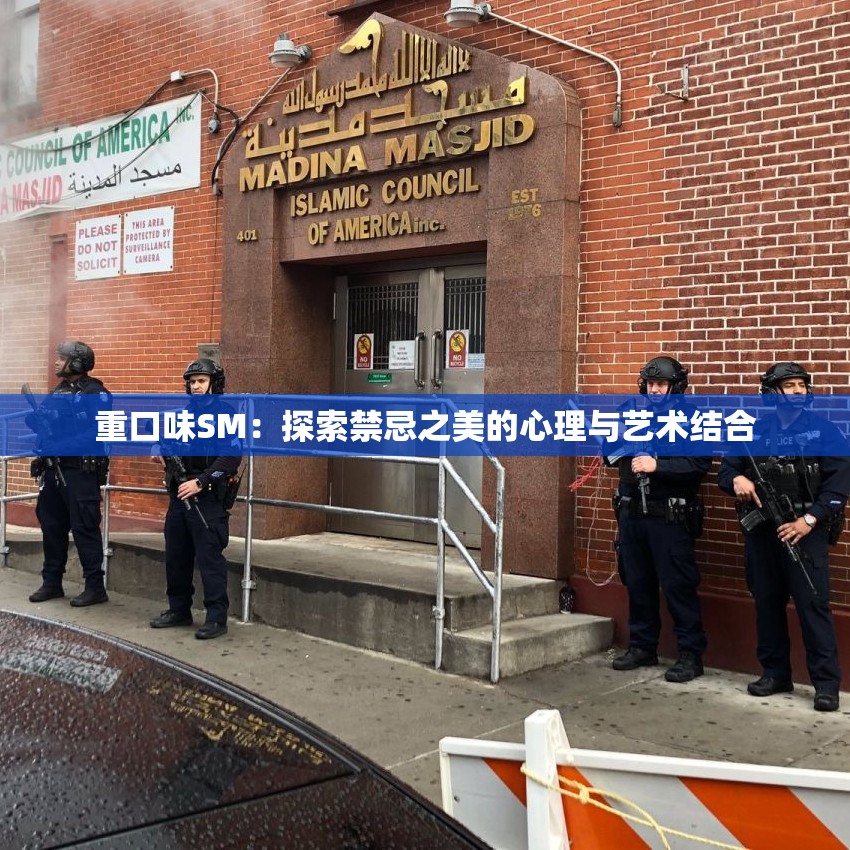 重口味SM：探索禁忌之美的心理与艺术结合