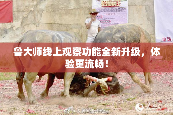 鲁大师线上观察功能全新升级，体验更流畅！