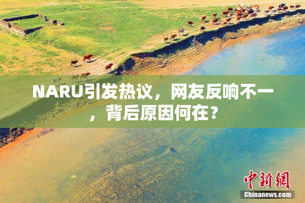 NARU引发热议，网友反响不一，背后原因何在？