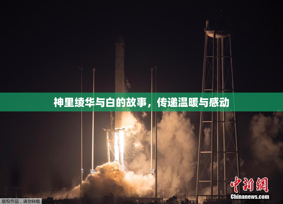 神里绫华与白的故事，传递温暖与感动