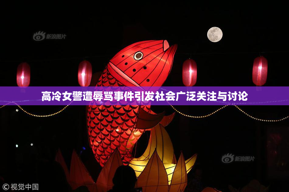 高冷女警遭辱骂事件引发社会广泛关注与讨论