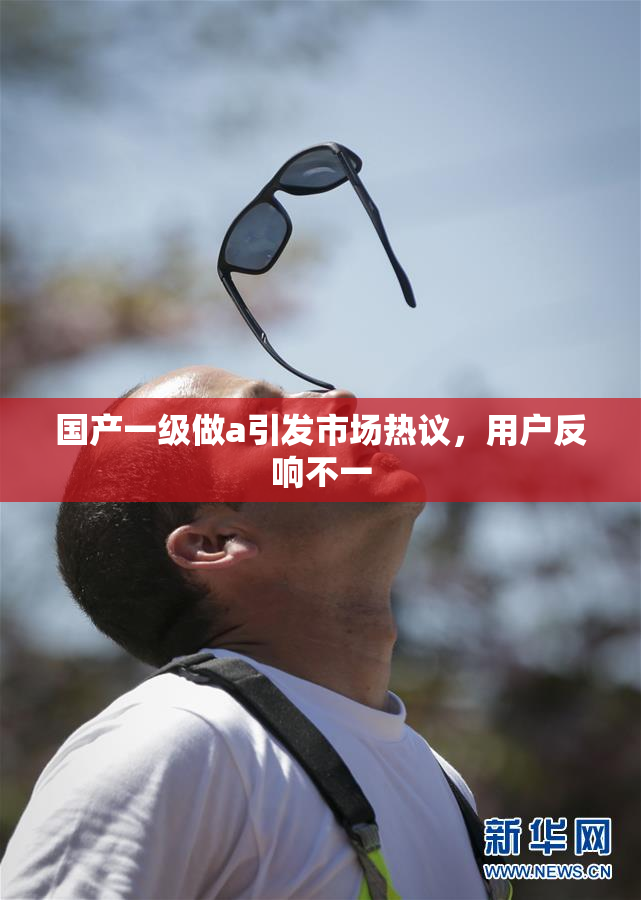 国产一级做a引发市场热议，用户反响不一