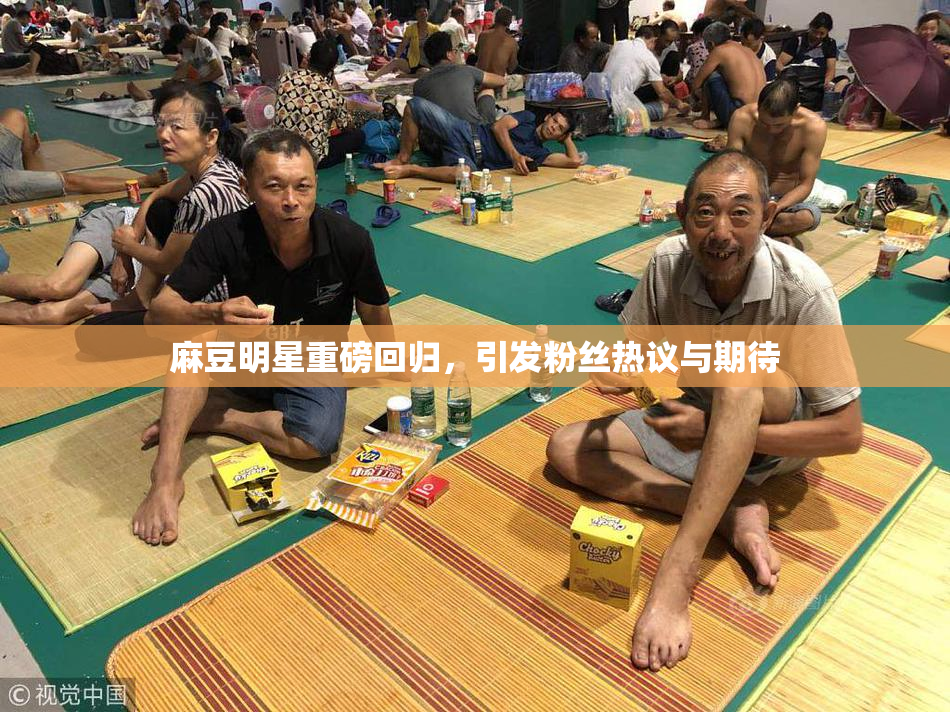 麻豆明星重磅回归，引发粉丝热议与期待