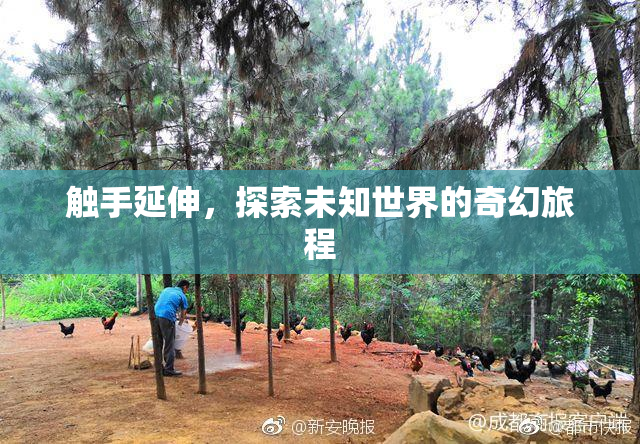 触手延伸，探索未知世界的奇幻旅程