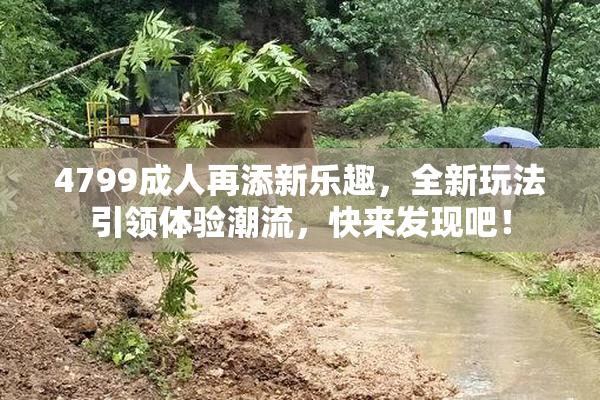 4799成人再添新乐趣，全新玩法引领体验潮流，快来发现吧！