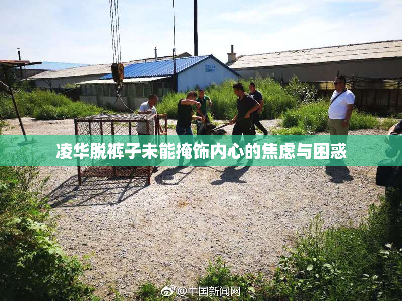 凌华脱裤子未能掩饰内心的焦虑与困惑