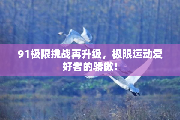 91极限挑战再升级，极限运动爱好者的骄傲！