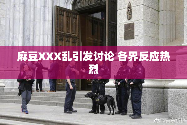 麻豆XXX乱引发讨论 各界反应热烈