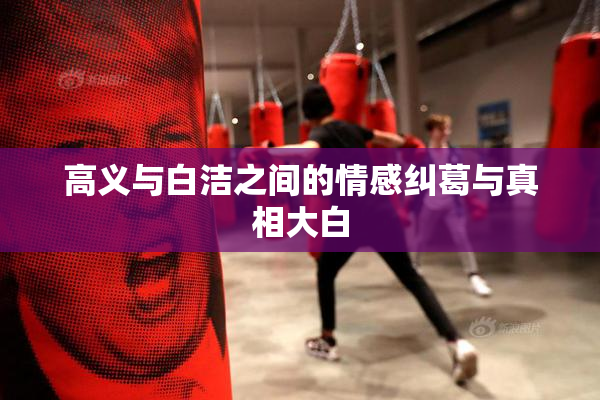 高义与白洁之间的情感纠葛与真相大白