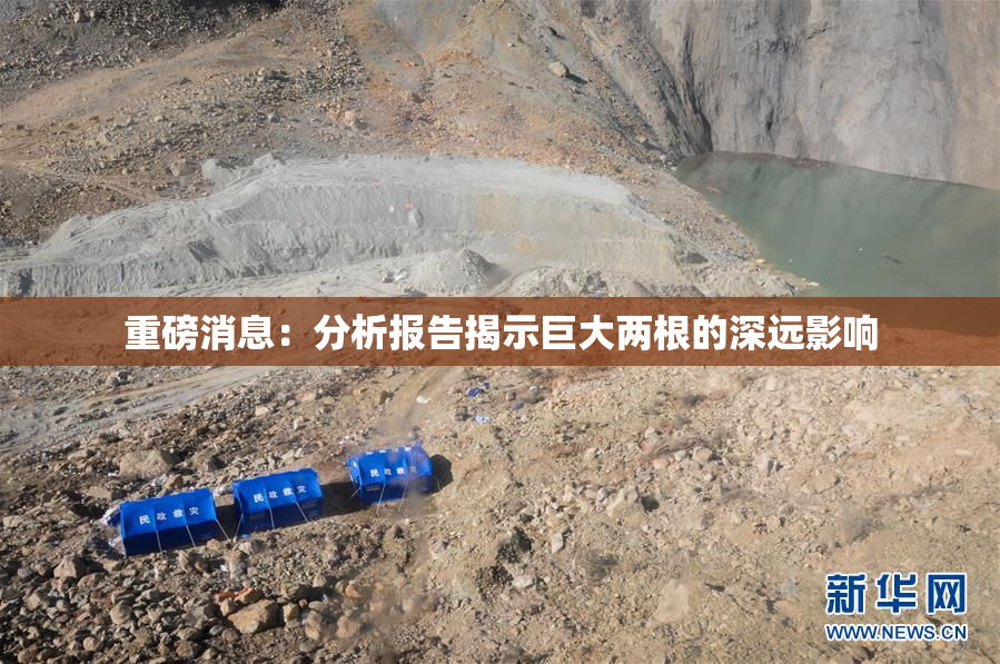 重磅消息：分析报告揭示巨大两根的深远影响