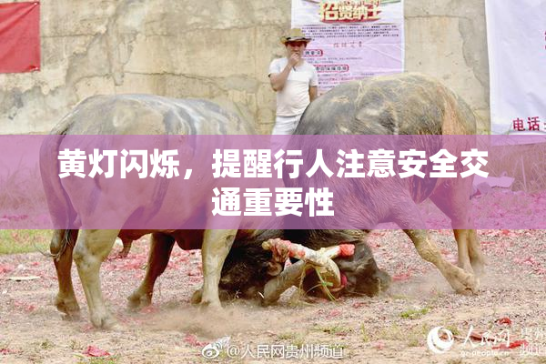 黄灯闪烁，提醒行人注意安全交通重要性