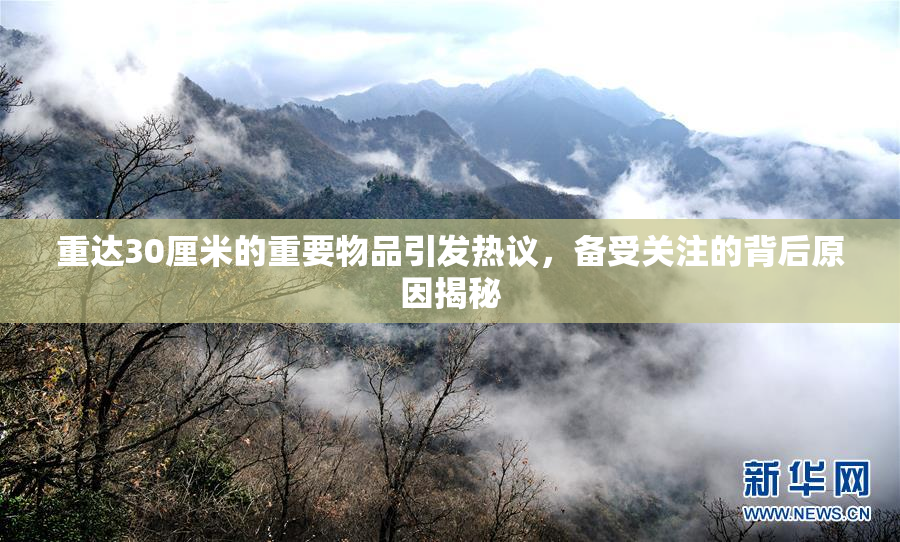 重达30厘米的重要物品引发热议，备受关注的背后原因揭秘