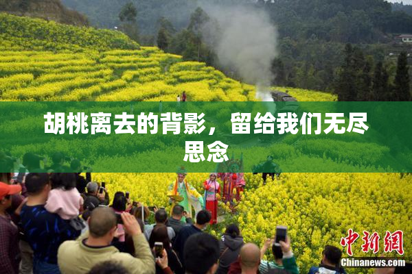 胡桃离去的背影，留给我们无尽思念