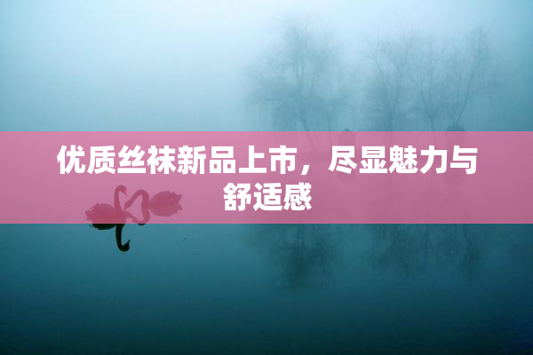 优质丝袜新品上市，尽显魅力与舒适感