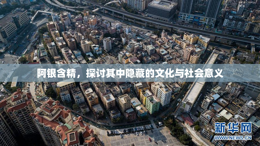 阿银含精，探讨其中隐藏的文化与社会意义