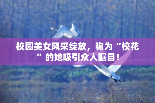 校园美女风采绽放，称为“校花”的她吸引众人瞩目！