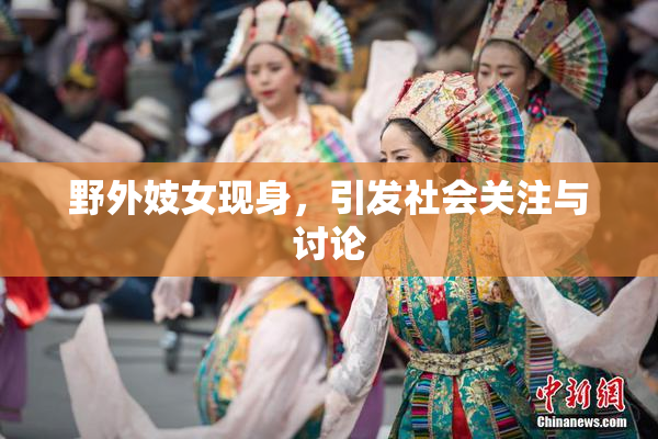 野外妓女现身，引发社会关注与讨论