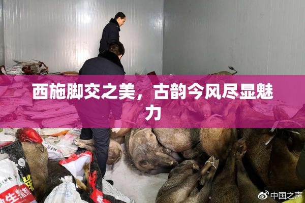 西施脚交之美，古韵今风尽显魅力
